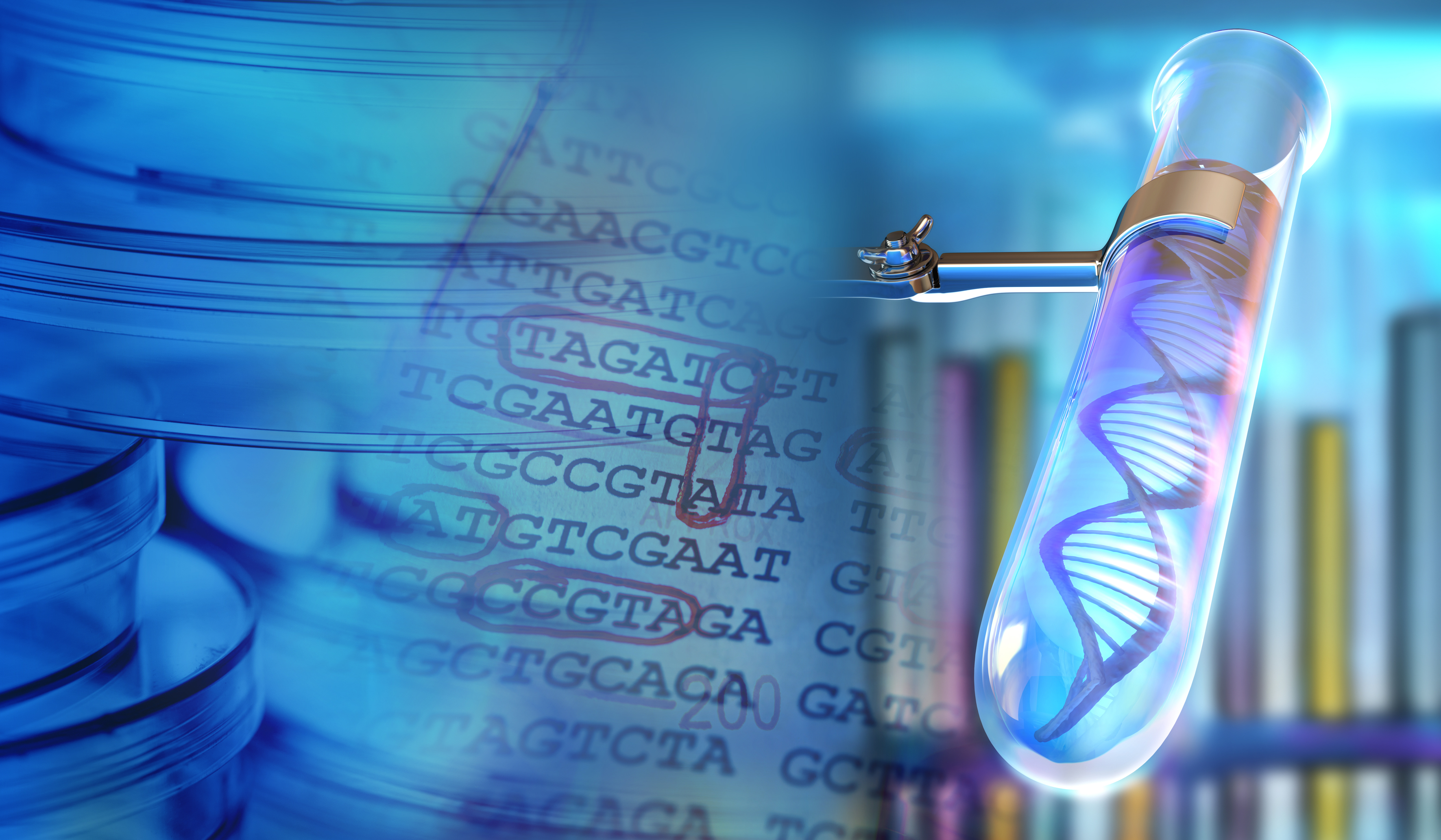 Reti neurali. Svelato il collegamento tra cervello e comportamento?