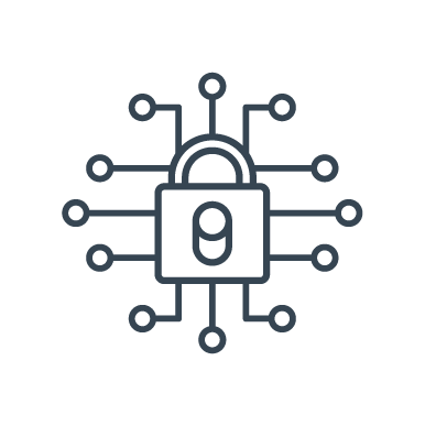 Cyber Security Icon